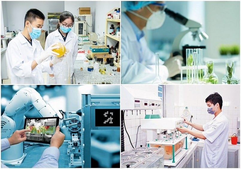 Hướng dẫn tuyển chọn tổ chức và cá nhân thực hiện đề tài khoa học và công nghệ cấp bộ năm 2026 của Bộ GD&ĐT
