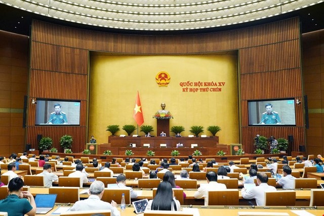 Đề xuất quy định cử cán bộ, công chức, viên chức dân sự tham gia lực lượng gìn giữ hòa bình- Ảnh 7. Đề xuất quy định cử cán bộ, công chức, viên chức dân sự tham gia lực lượng gìn giữ hòa bình- Ảnh 7.