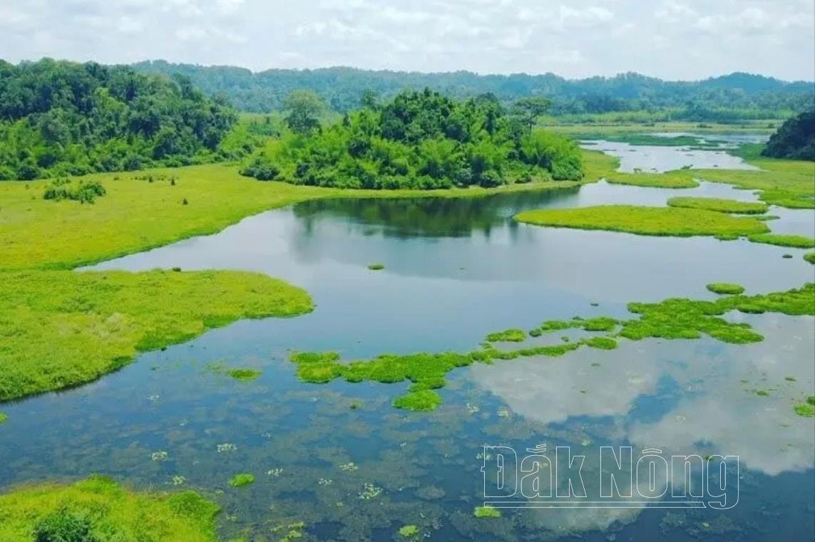 Vườn Quốc gia Nam Cát Tiên (Lâm Đồng) được đánh giá cao về tiềm năng đa dạng sinh học với hàng ngàn loài động, thực vật bậc cao, quý hiếm là điểm đến hấp dẫn của nhiều du khách