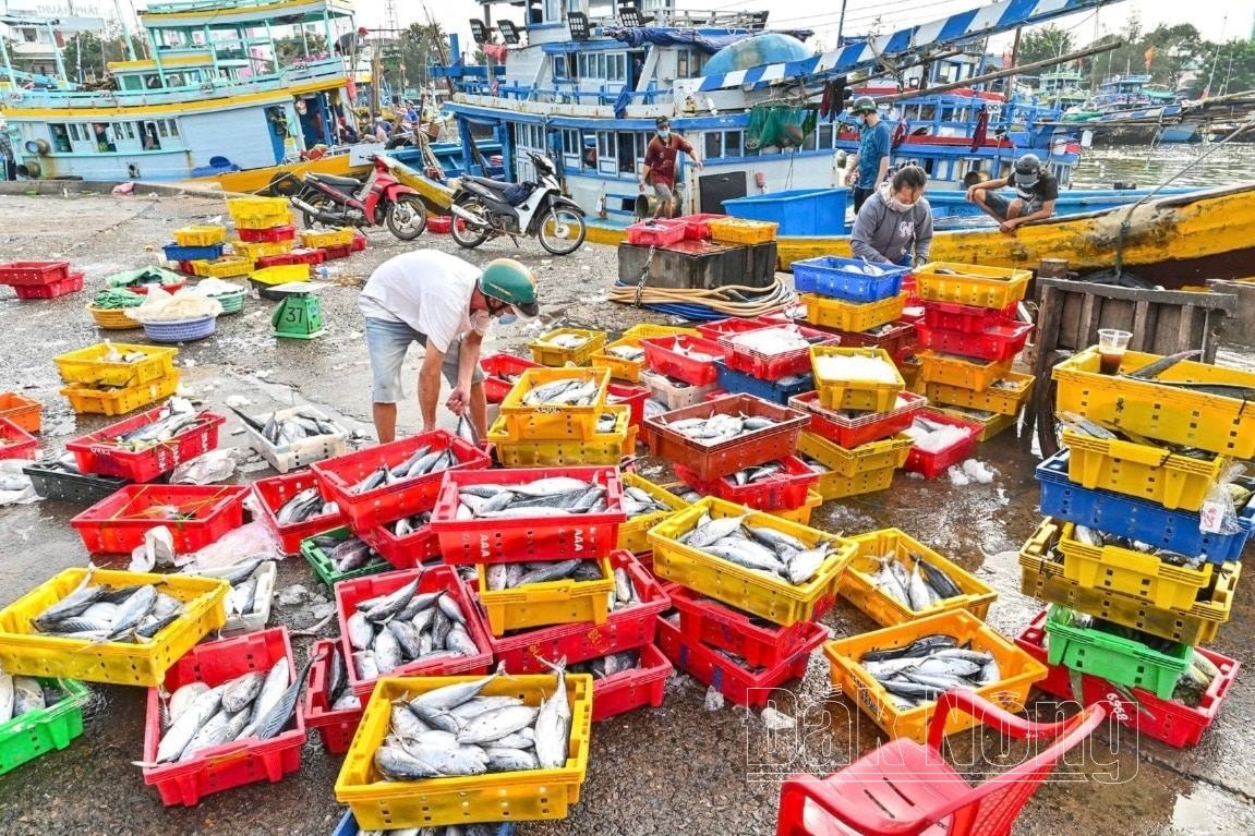 Môi trường biển là nguồn lực quan trọng để Lâm Đồng phát triển kinh tế trong tương lai