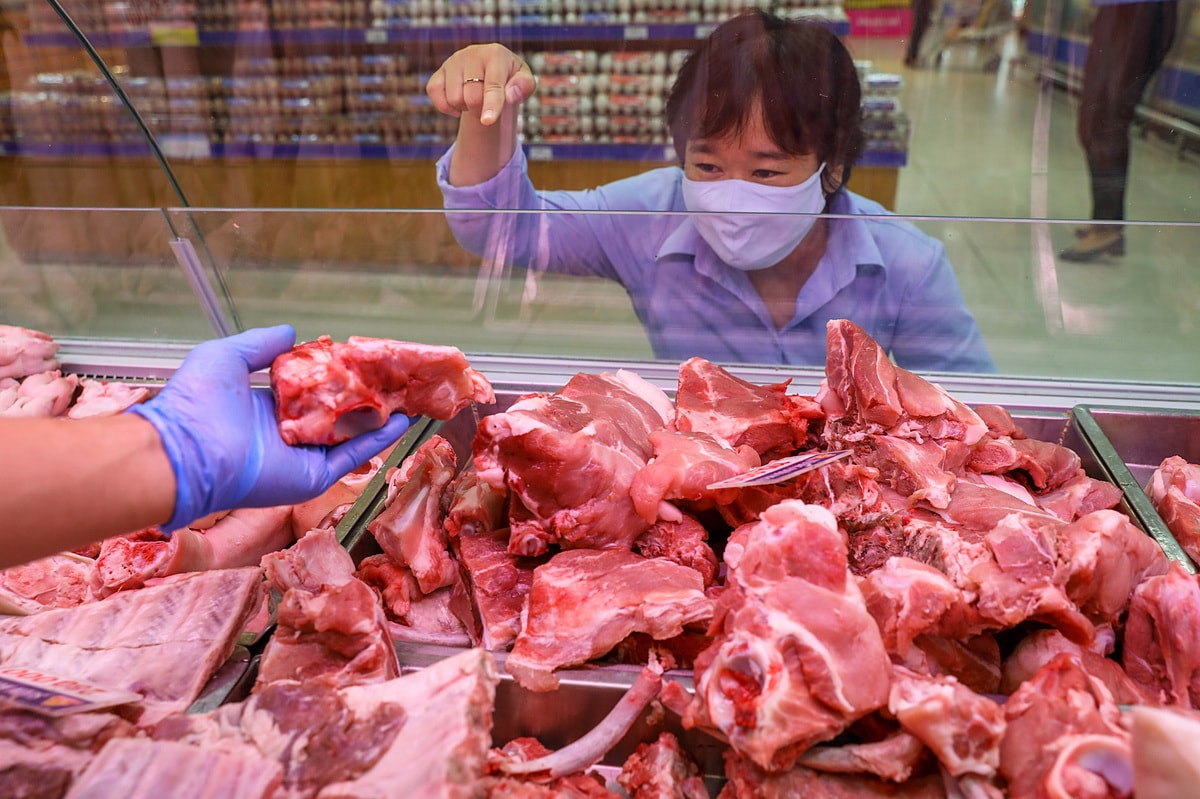 Giá heo hơi hôm nay 155 Chững giá trên toàn quốc