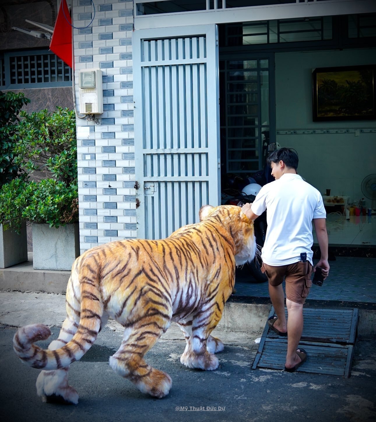 Chàng trai TP.HCM làm mô hình hổ Bengal giống thật khiến người trên phố hết hồn - 5
