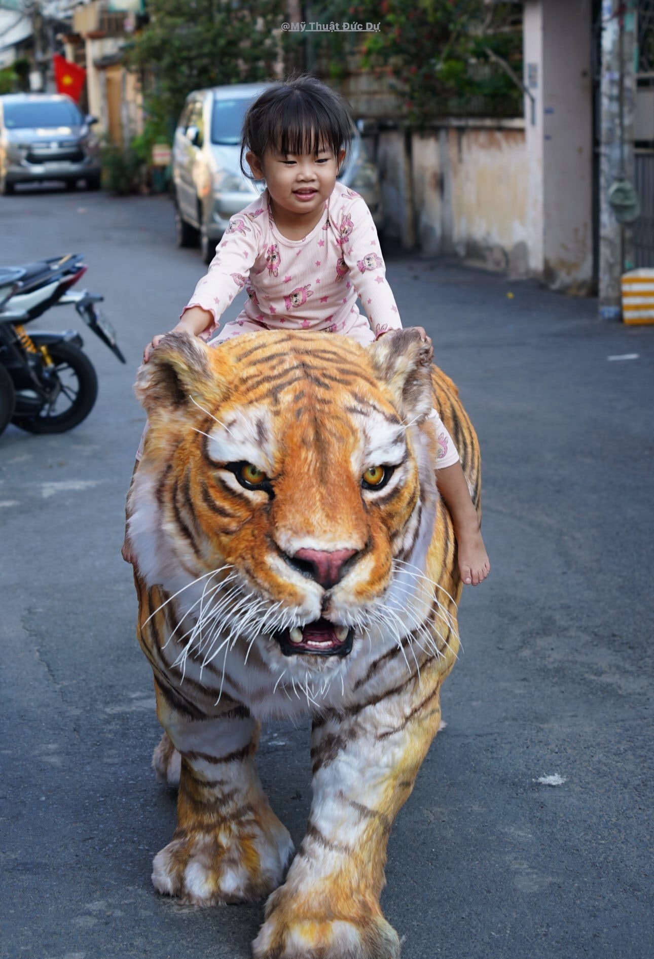 Chàng trai TP.HCM làm mô hình hổ Bengal giống thật khiến người trên phố hết hồn - 4
