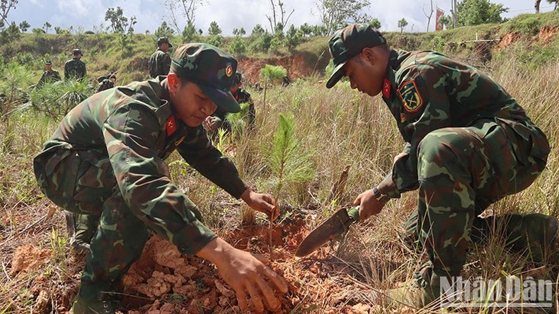 Học viện Lục quân phát động “Tết trồng cây đời đời nhớ ơn Bác Hồ” ảnh 2