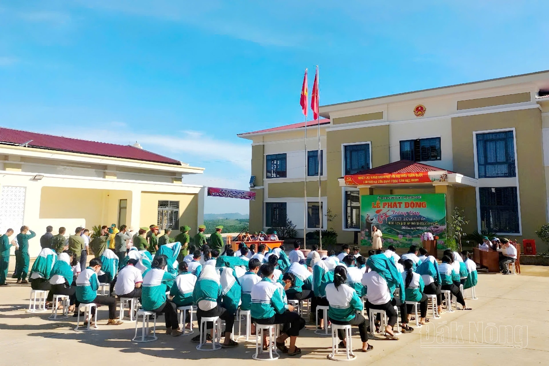 Trồng cây 4