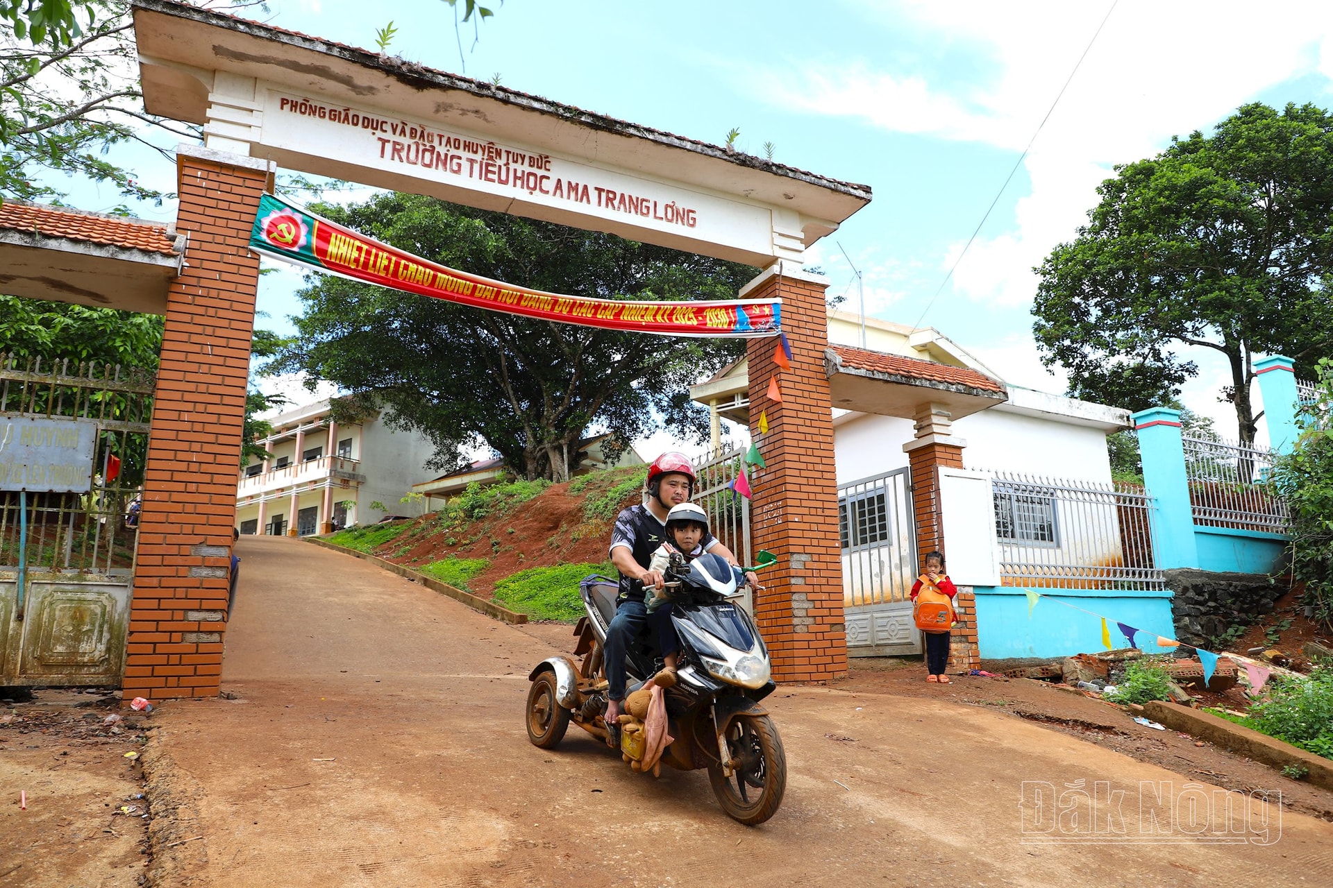 Và đưa về trong những buổi chiều muộn