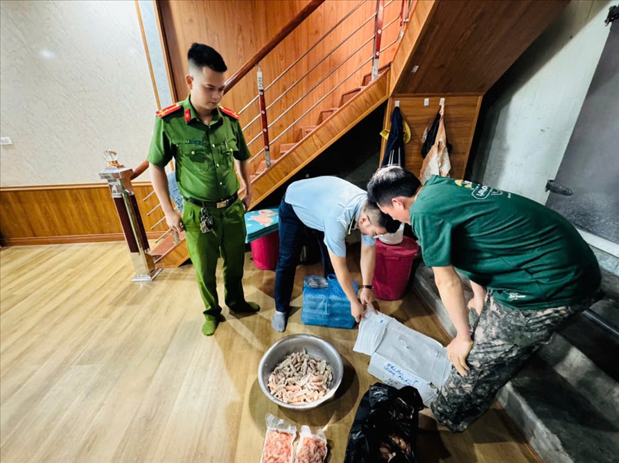 Lực lượng chức năng phát hiện 480kg thực phẩm đông lạnh không rõ nguồn gốc xuất xứ.