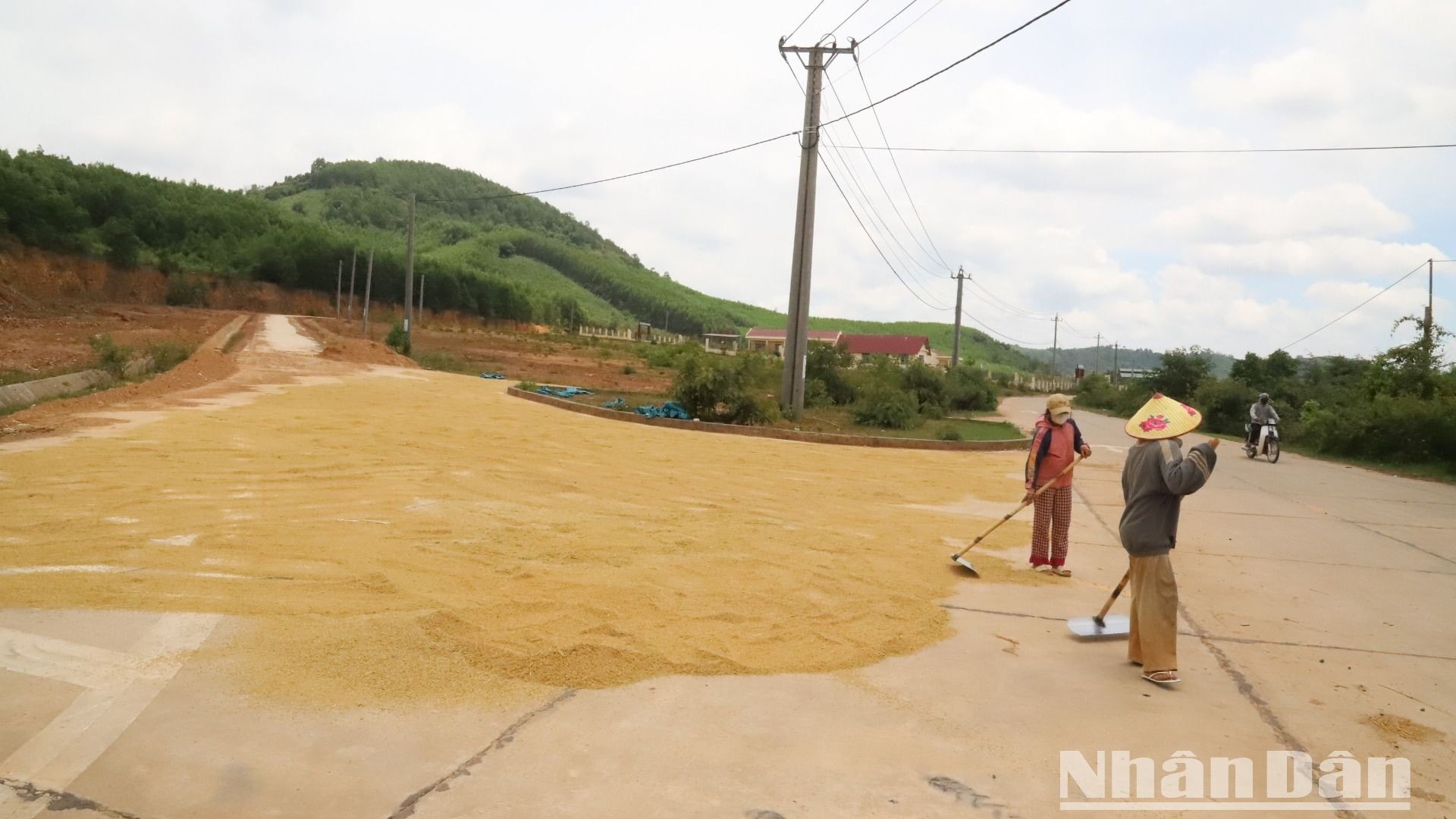 [Ảnh] Dự án định canh, định cư xã Ea Yiêng bị bỏ hoang ảnh 19