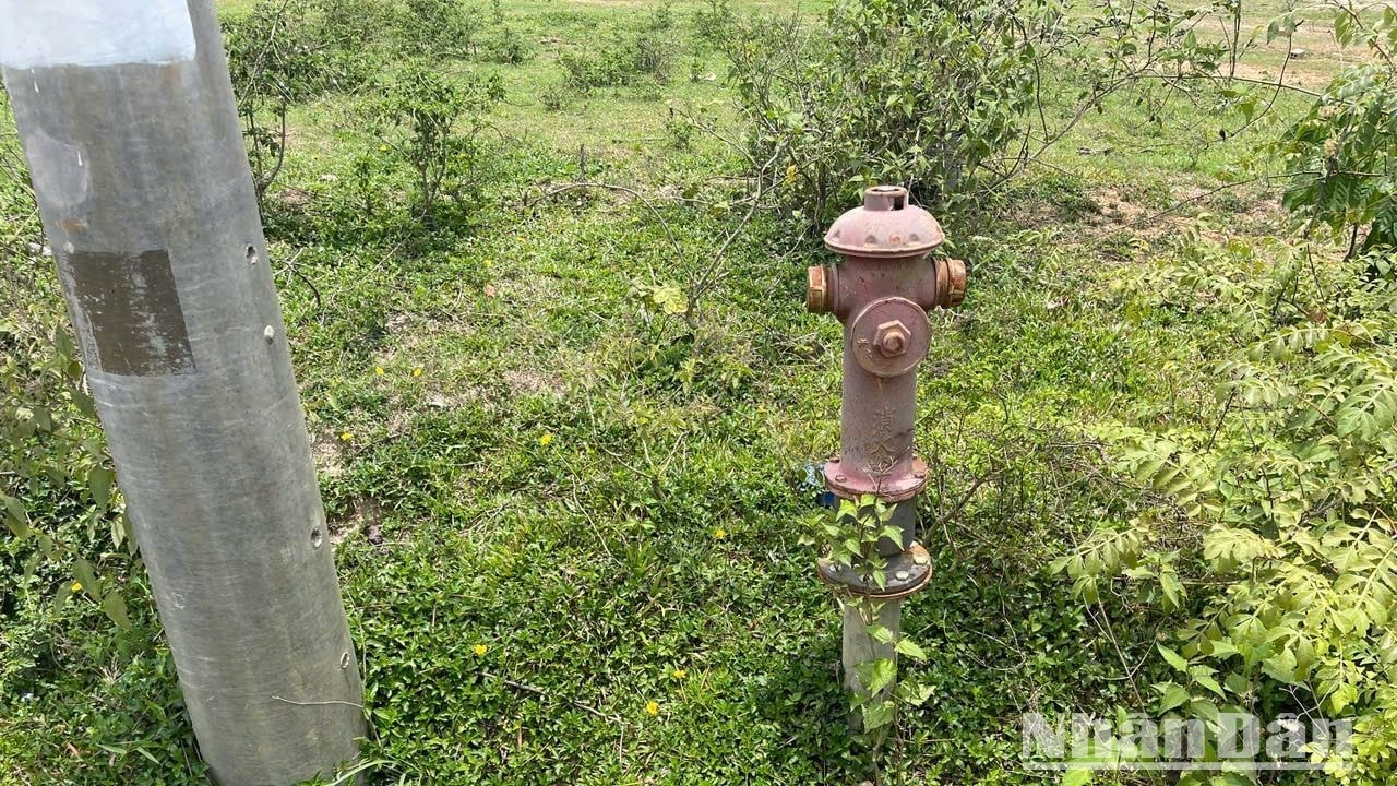 [Ảnh] Dự án định canh, định cư xã Ea Yiêng bị bỏ hoang ảnh 18