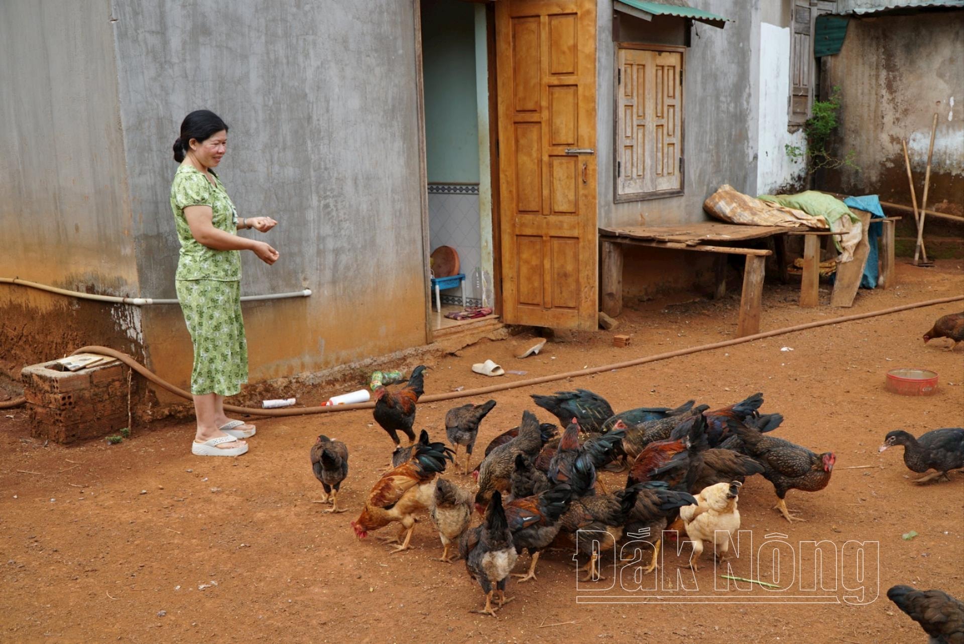 daknong2(1).jpg