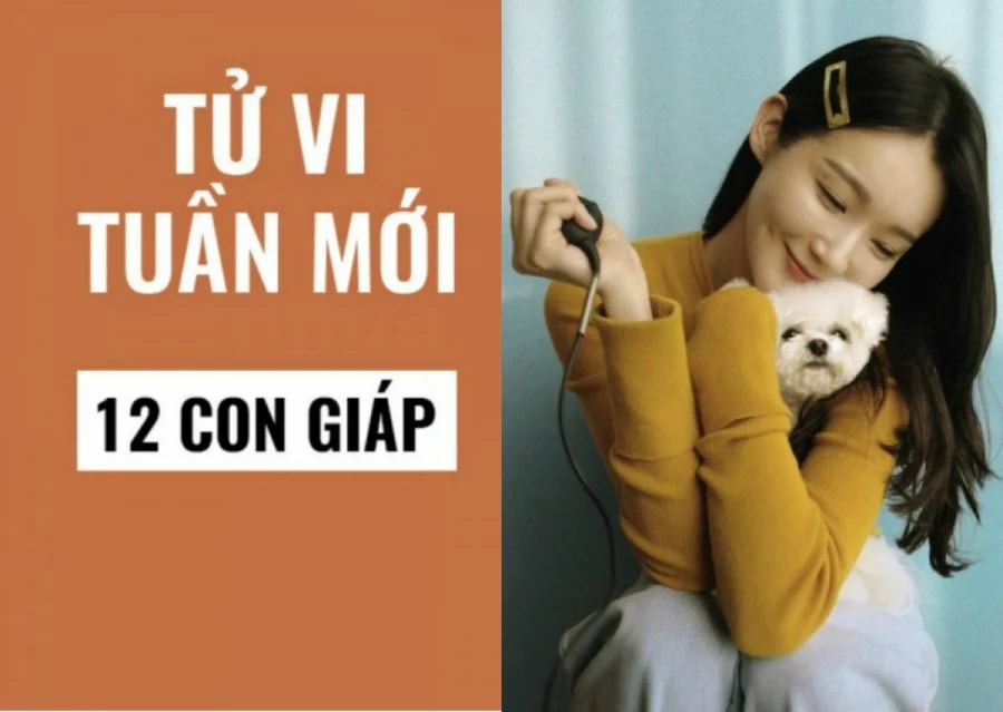 tu-vi-tuan-moi-12-con-giap.jpg
