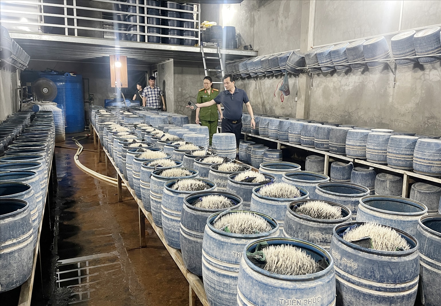 Khu vực sản xuất giá đỗ của ông Lưu Văn Vẽ.
