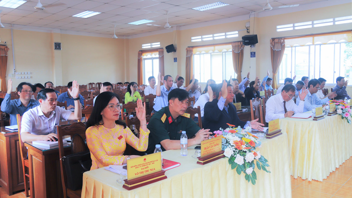 Các đại biểu biểu quyết thông qua nghị quyết tại Kỳ họp