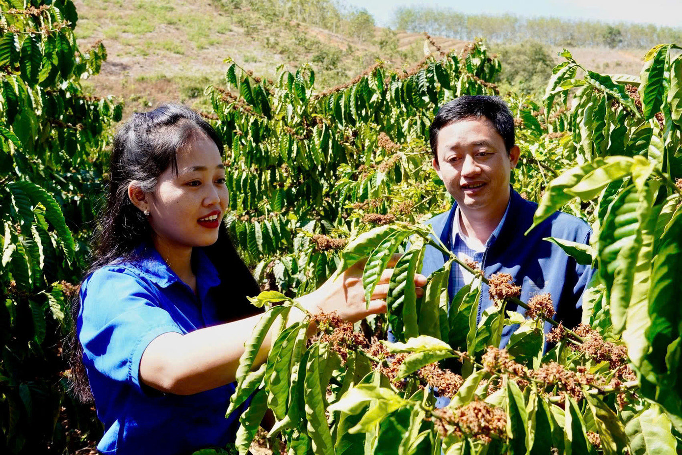 Đảng viên, đoàn viên Y Lim (bên trái) luôn đi đầu trong các hoạt động của thôn và phát triển kinh tế gia đình