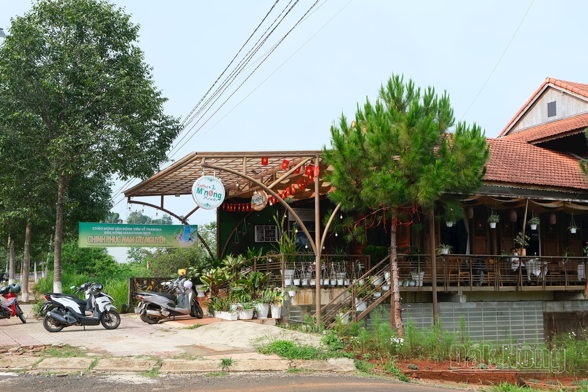 dscf5406.jpg