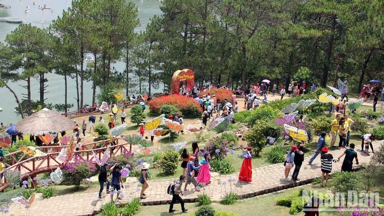 Lâm Đồng sẽ là “trạm sạc” sức khỏe cho du khách ảnh 5