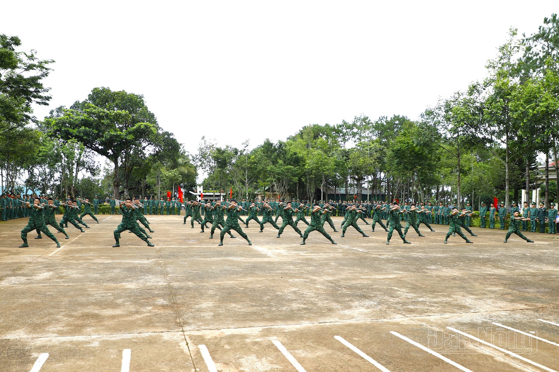 _mg_0194.jpg