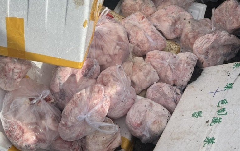 Gần 400kg thịt heo đông lạnh không rõ nguồn gốc, xuất xứ được phát hiện, thu giữ. img-33-2479-2335.jpg