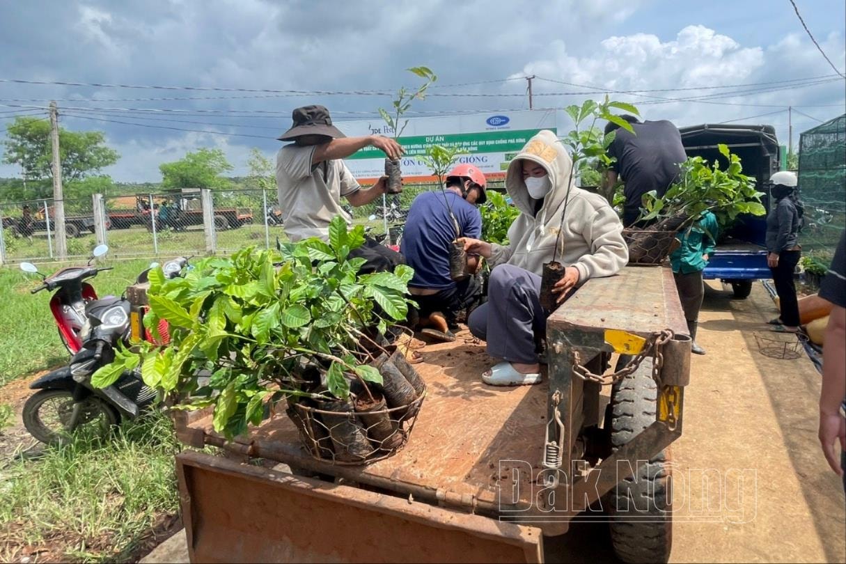 Việc hỗ trợ cây giống giúp người dân có thêm điều kiện để phát triển sản xuất, phục hồi hệ sinh thái theo hướng giảm phát thải và thích ứng với biến đổi khí hậu
