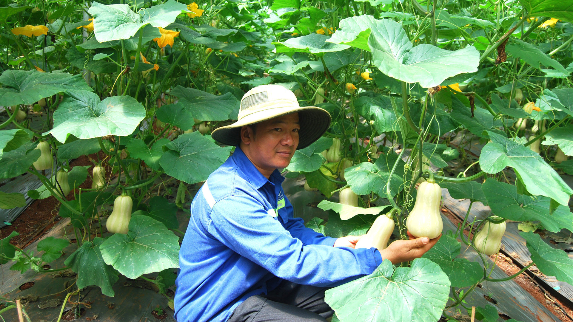 Cần triển khai kịp thời chính sách hỗ trợ doanh nghiệp chuyển đổi sang mô hình sản xuất sạch hơn, góp phần cải thiện chỉ số xanh cấp tỉnh (PGI)