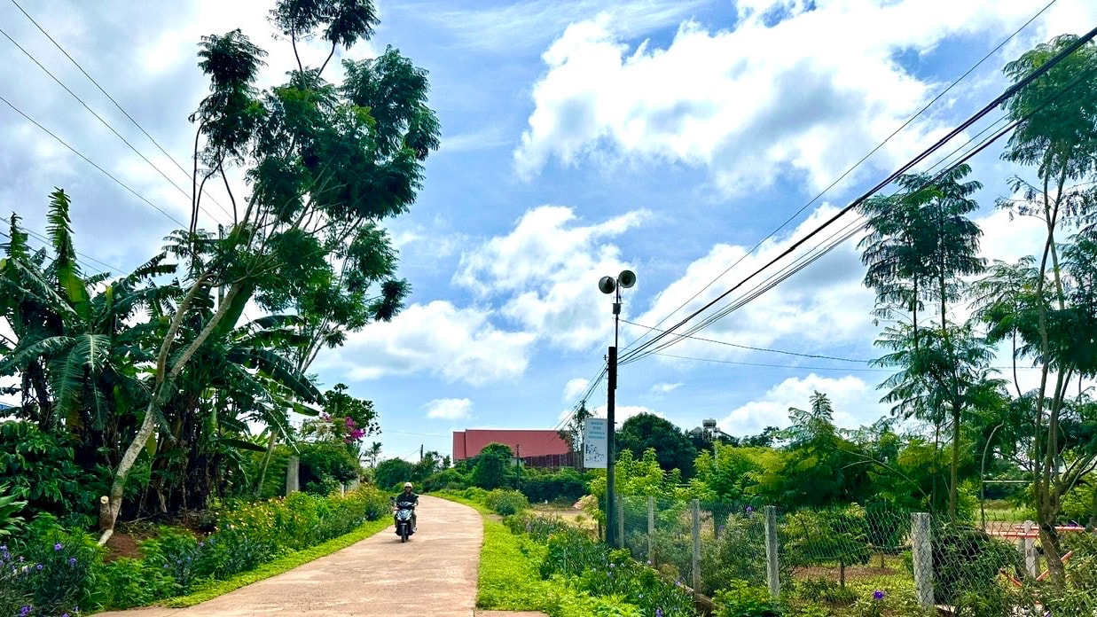 Những tuyến đường hoa, cây xanh ở các thôn tại xã Đinh Lạc phần lớn do phụ nữ trồng và chăm sóc