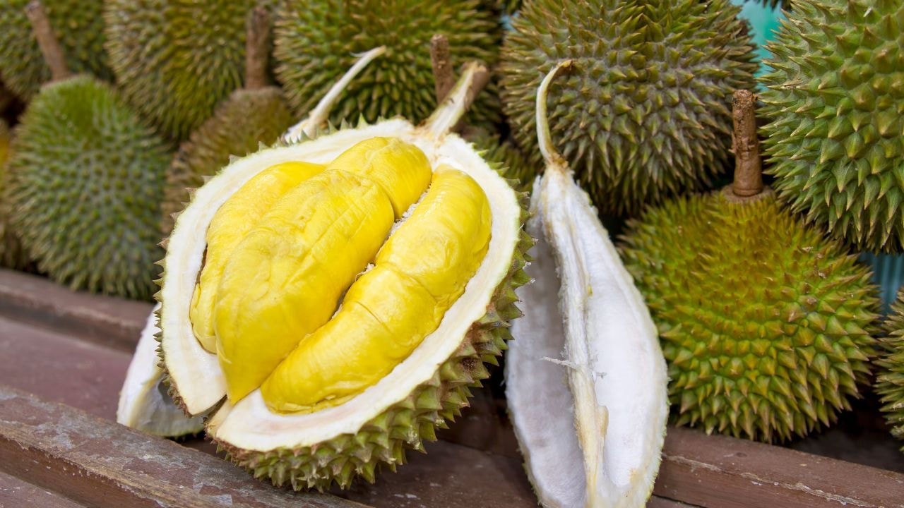 Giá sầu riêng hôm nay 76 Philippines mở cửa xuất khẩu sầu riêng sang Ai Cập