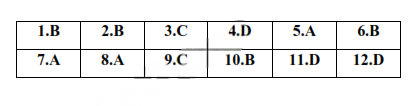 Toán lớp 10 Bà rịa Vũng Tàu