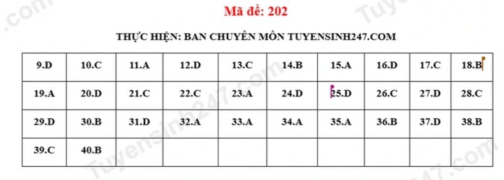 Đề và đáp án môn ngữ văn, tiếng Anh thi lớp 10 Bắc Giang 2025 - 8