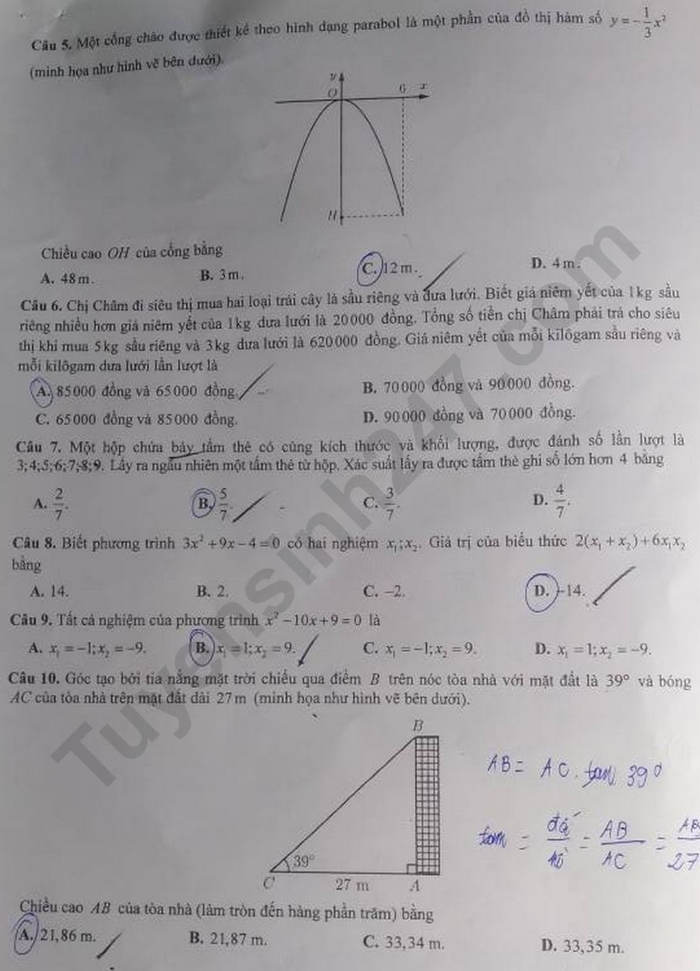 Đáp án tất cả các môn thi vào lớp 10 ở Cần Thơ năm 2025 - 2