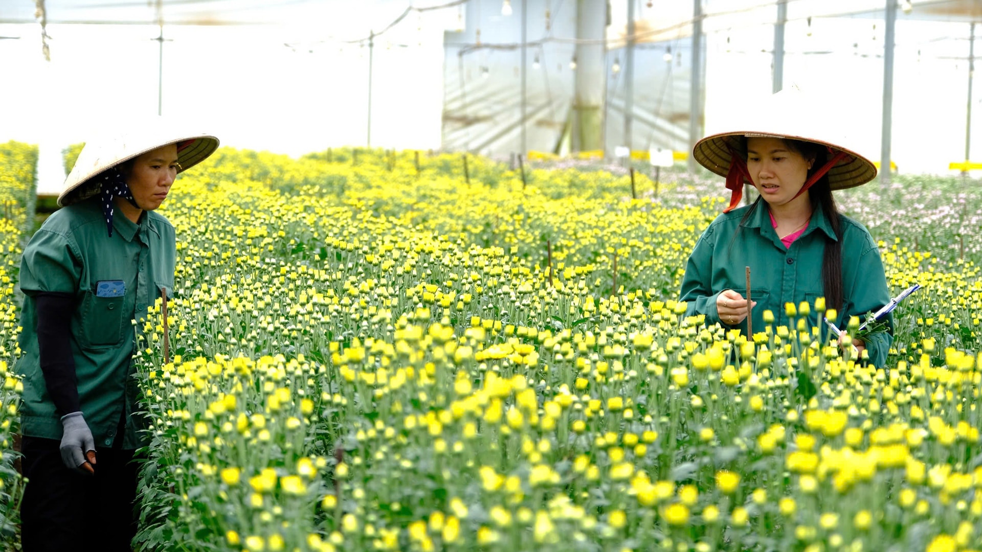 Tại các đơn vị doanh nghiệp của Lâm Hà, công tác chăm lo, đảm bảo các quyền lợi cho người lao động luôn được thực hiện chặt chẽ