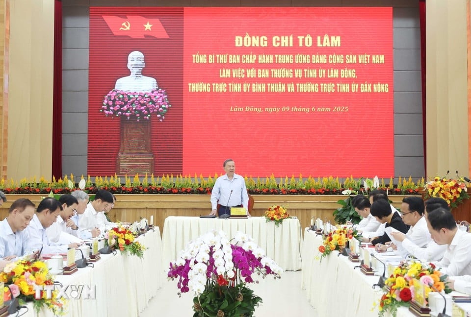 h11.jpg