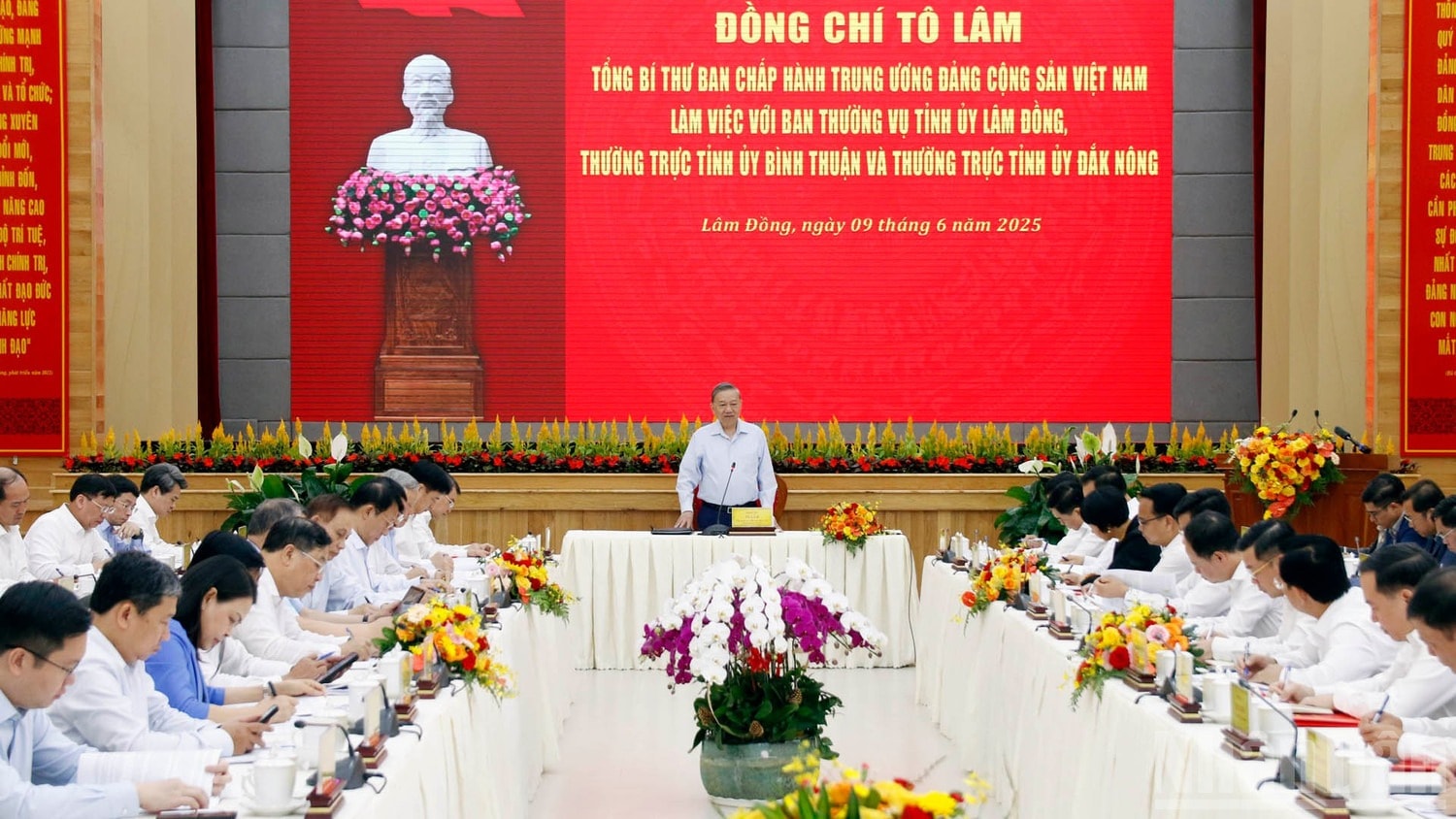 lam1(1).jpg