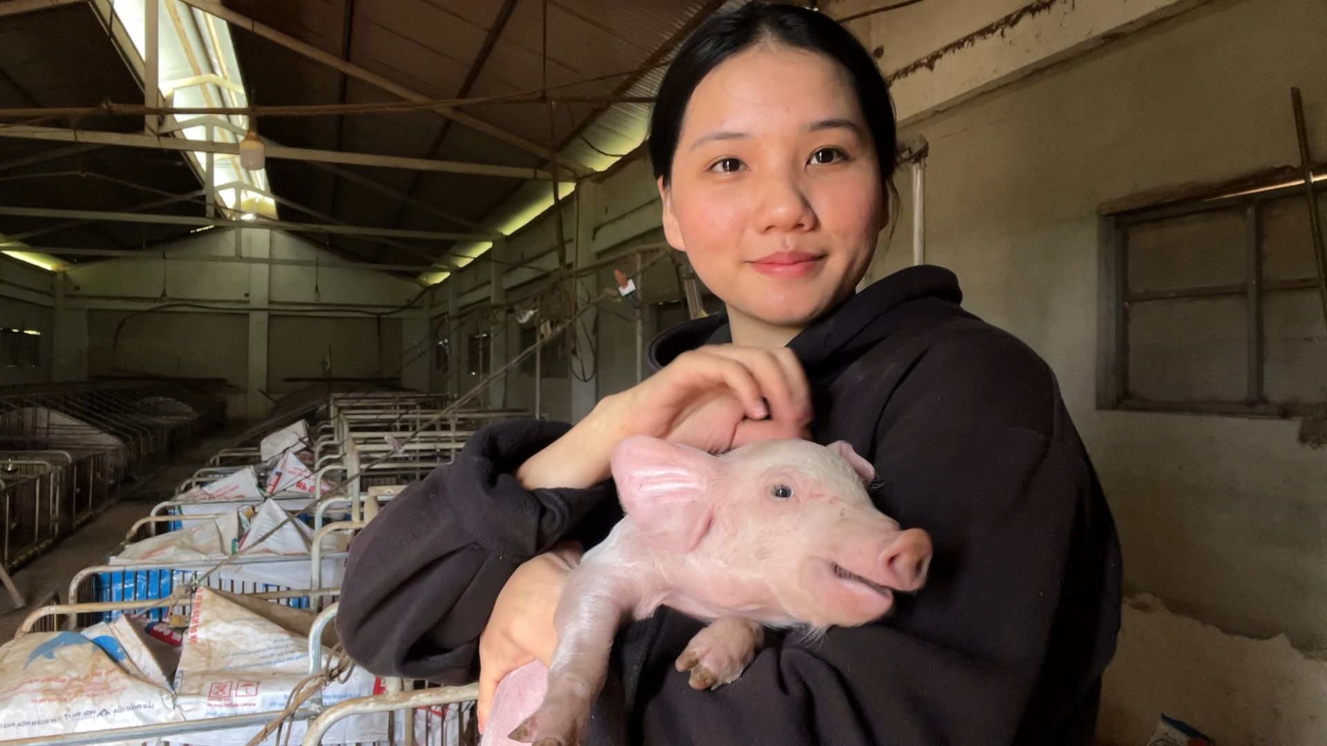 Mỹ nhân gen Z hút triệu view với cảnh vác tải cám phăng phăng nuôi 200 con lợn - 2