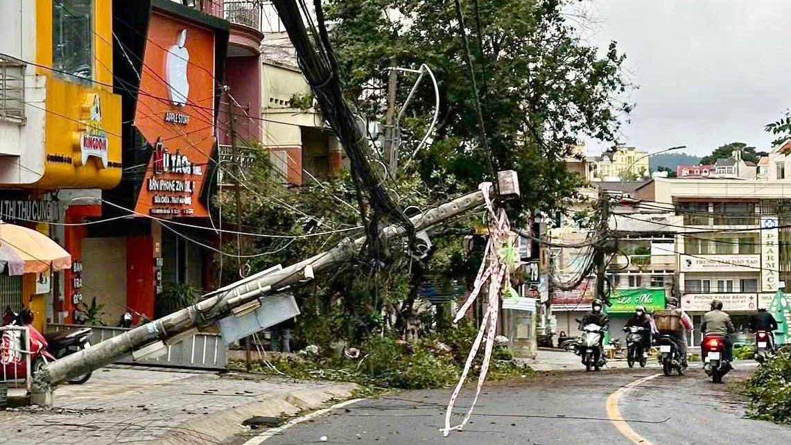 Cây xanh gãy đổ trên đường Nguyễn Văn Trỗi, Đà Lạt rạng sáng 12/6 do mưa lớn kèm gió mạnh ảnh hưởng từ cơn bão số 1