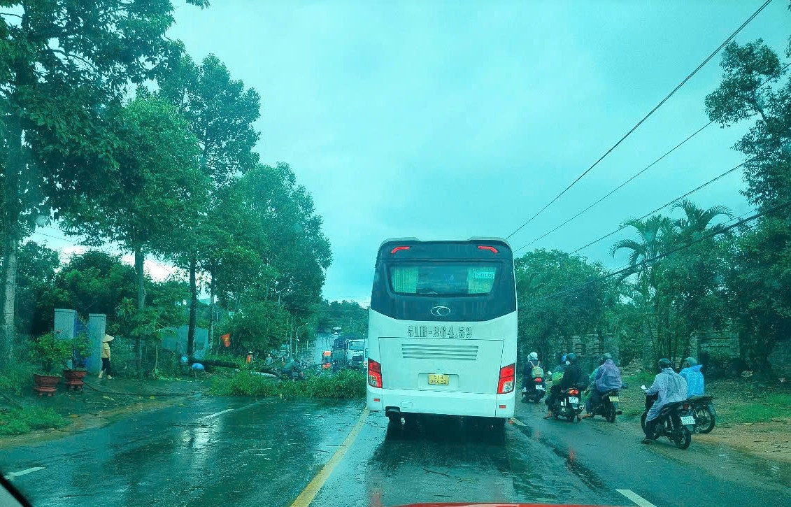 Cây xanh và trụ đèn chiếu sáng ngã đổ chắn ngang Quốc lộ 20, đoạn qua xã Hà Lâm (huyện Đạ Huoai) gây ách tắc cục bộ