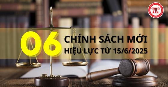 06 chính sách mới có hiệu lực từ ngày 15/06/2025