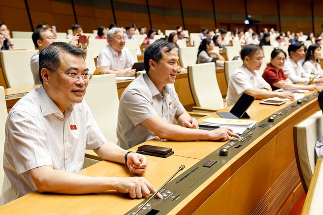 Đoàn đại biểu Quốc hội tỉnh Hà Tĩnh biểu quyết thông qua các dự án luật tại Kỳ họp thứ 9, Quốc hội khóa XV. (Ảnh: TTXVN) vna-potal-quoc-hoi-thong-qua-nghi-quyet-ve-viec-sap-xep-don-vi-hanh-chinh-cap-tinh-nam-2025-8087163.jpg