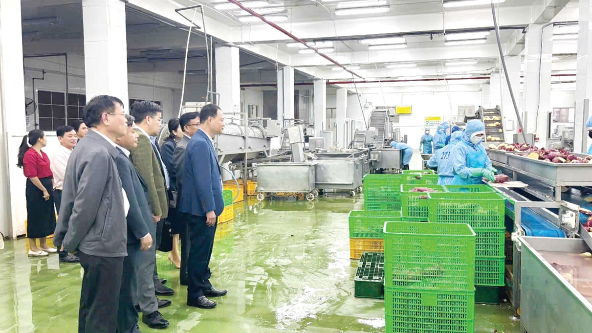 Chủ tịch UBND tỉnh Trần Hồng Thái thăm và kiểm tra tình hình sản xuất, kinh doanh đầu năm 2025 tại Công ty Cổ phần Viên Sơn, huyện Đức Trọng