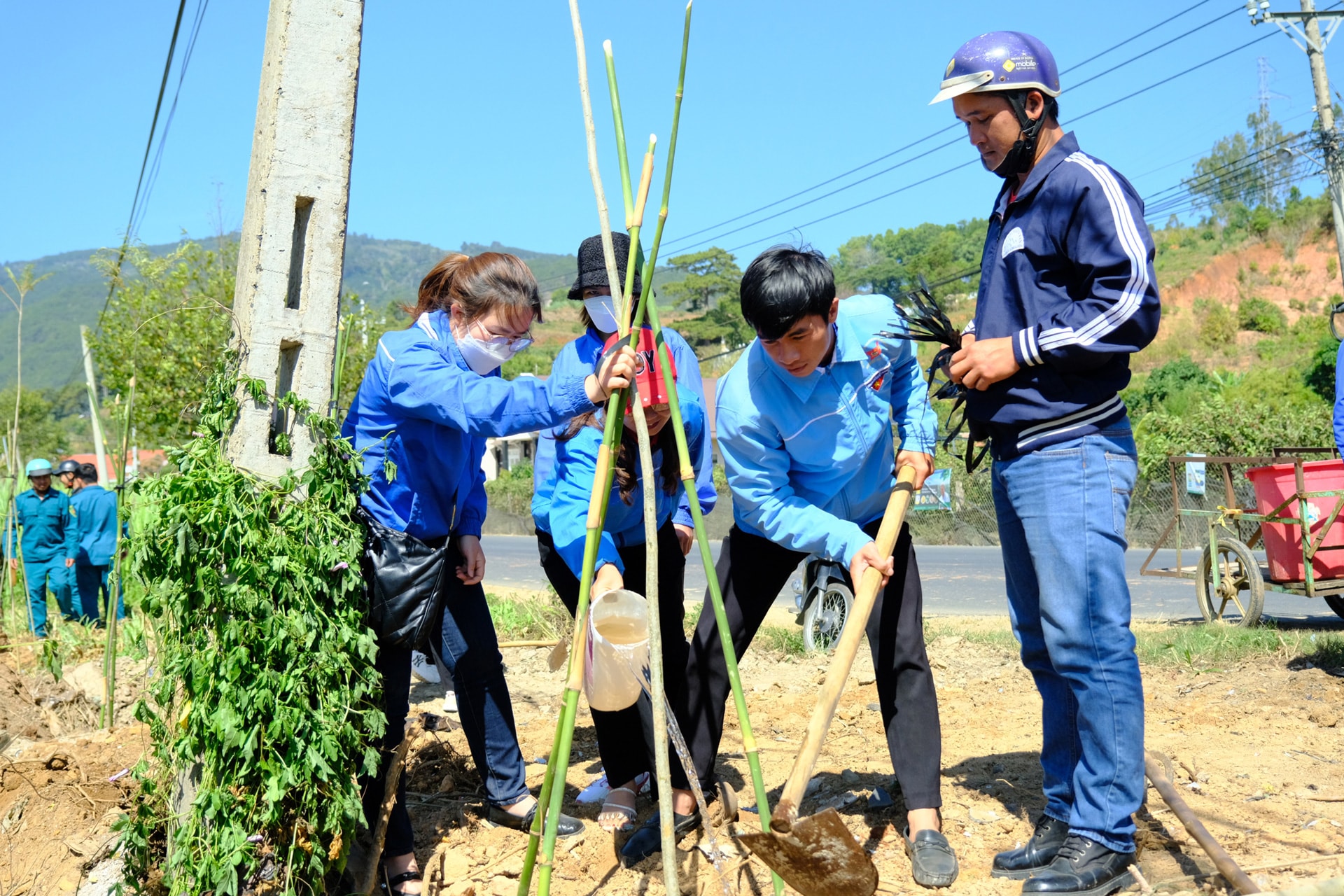 Giai đoạn 2021 - 2025, tuổi trẻ toàn tỉnh đã tham gia trồng mới hơn 2 triệu cây xanh
