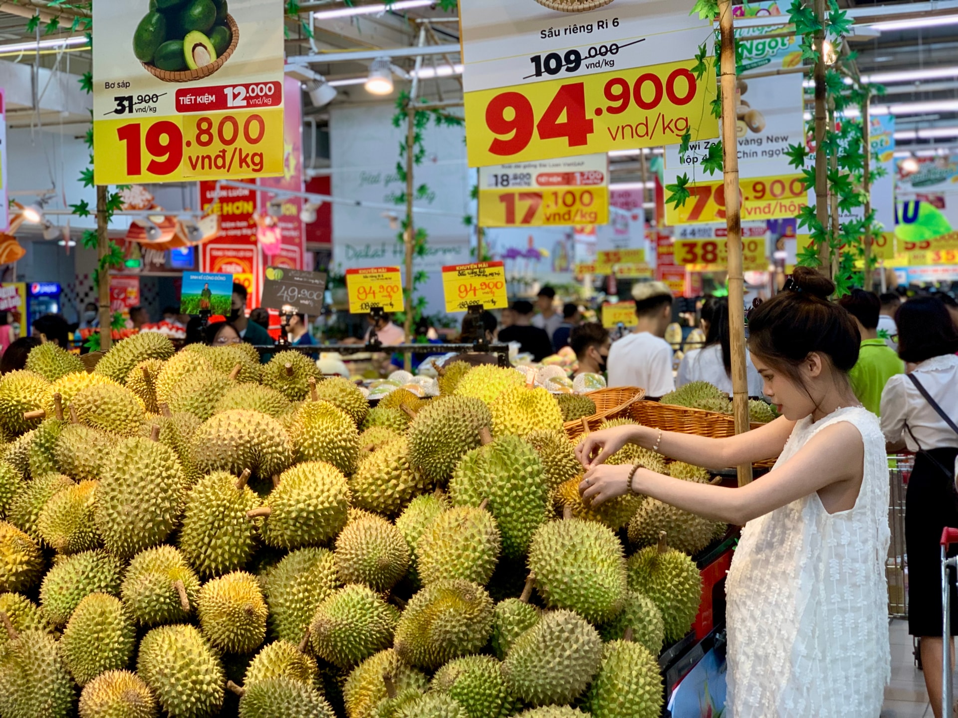 Giá sầu riêng hôm nay 226 Musang King đỉnh bảng