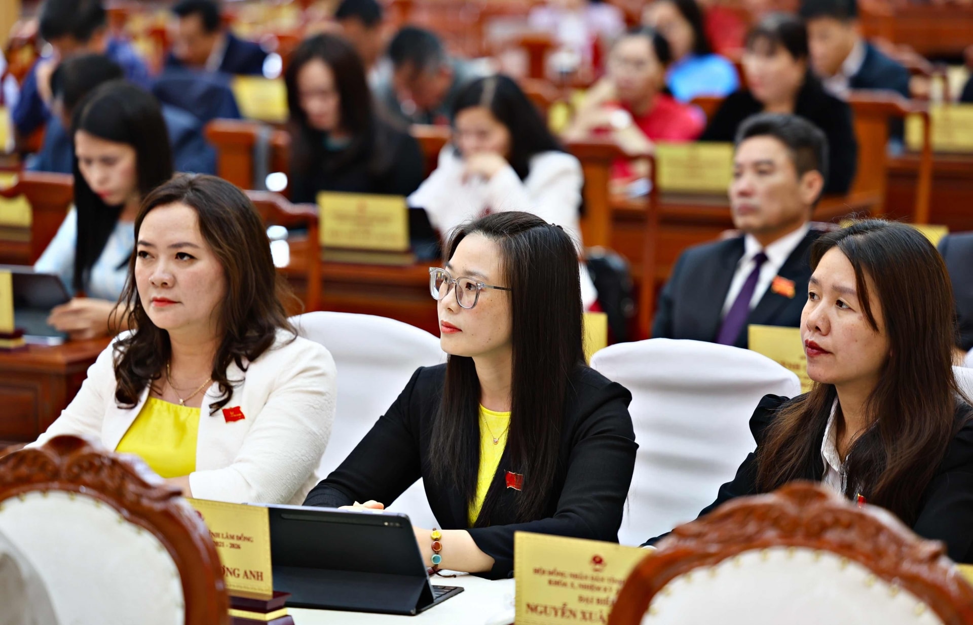 Các đại biểu tham dự kỳ họp