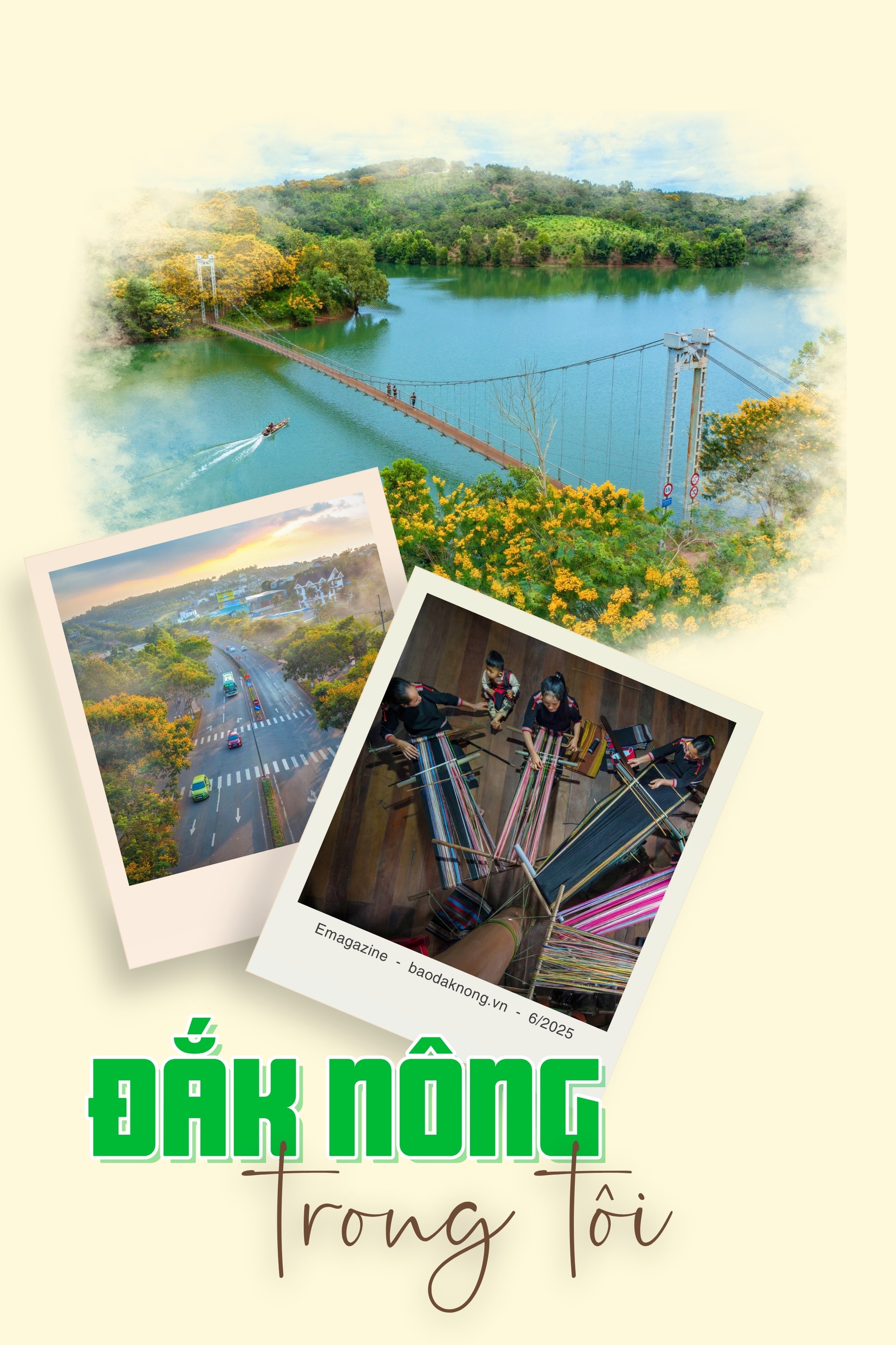 cover-pc.jpg