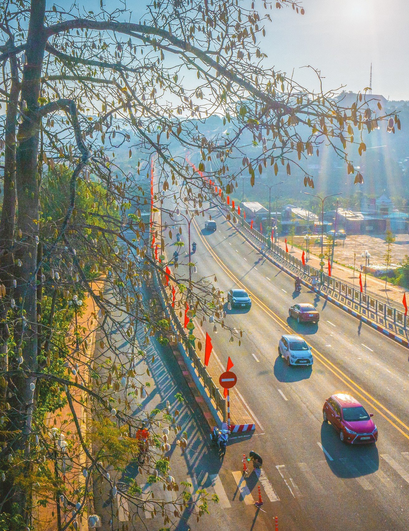 m1.jpg