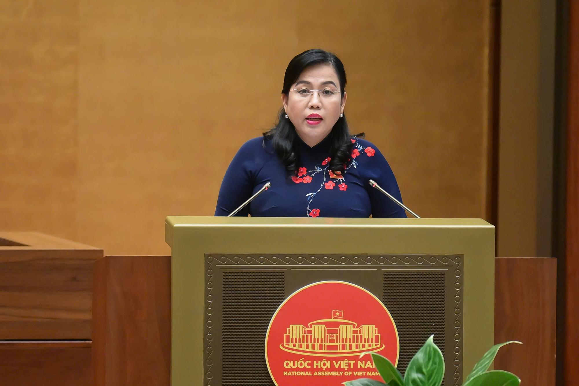 Thông qua Luật sửa đổi, bổ sung một số điều của Luật Bầu cử ĐBQH và đại biểu HĐND- Ảnh 1.