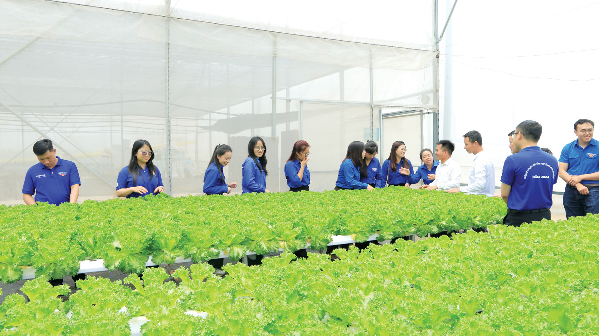 Nhiều gương thanh niên tích cực đi đầu trong lao động sản xuất góp phần xây dựng quê hương ngày càng phát triển