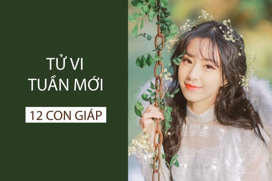 tu-vi-tuan-moi-12-con-giap.jpg