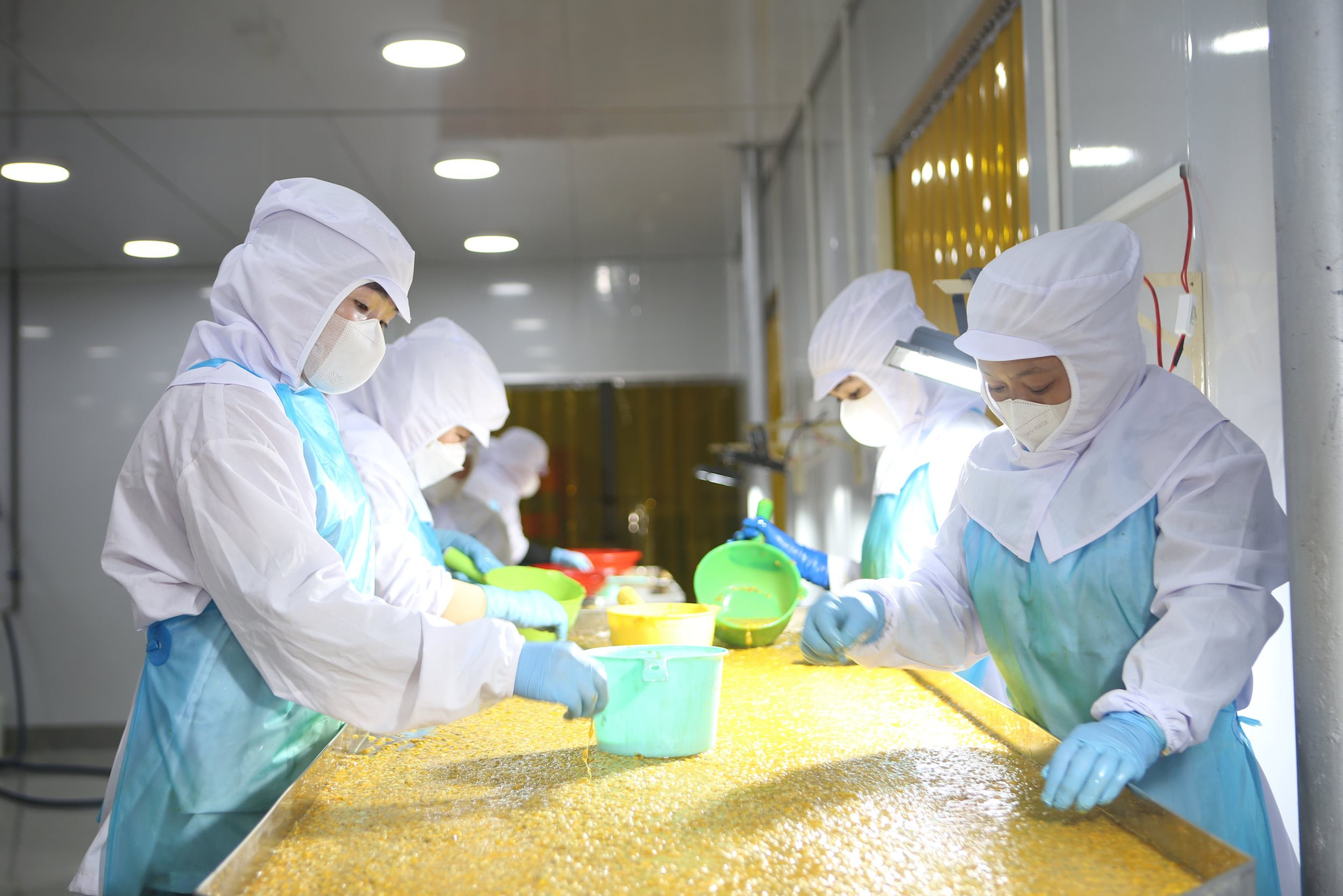 Lam Đồng đang triển khai nhiều chính sách hỗ trợ doanh nghiệp phát triển