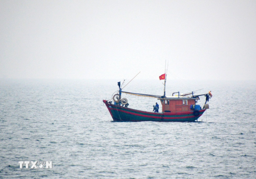 tau-ca-viet-nam.jpg