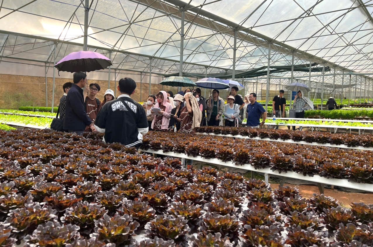 6 tháng cuối năm 2025, ngành Nông nghiệp tỉnh tiếp tục mở rộng các vùng sản xuất nông nghiệp công nghệ cao