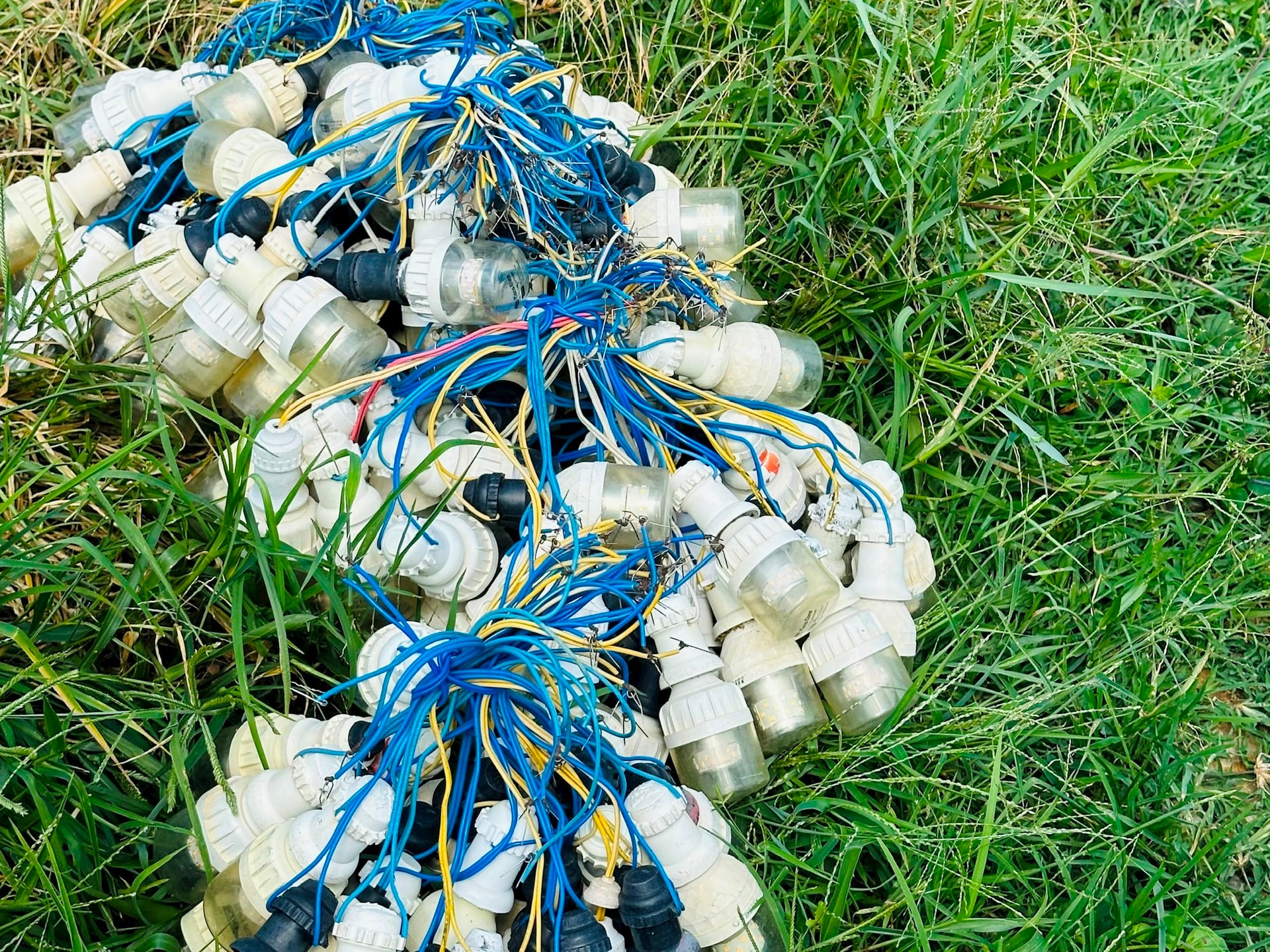 Bóng đèn chuẩn bị treo phục vụ chong đèn thanh long
